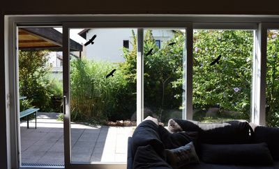 garten .jpg
