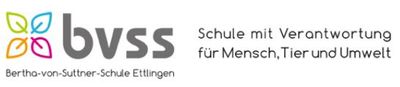 Logo Schule BVSS.JPG