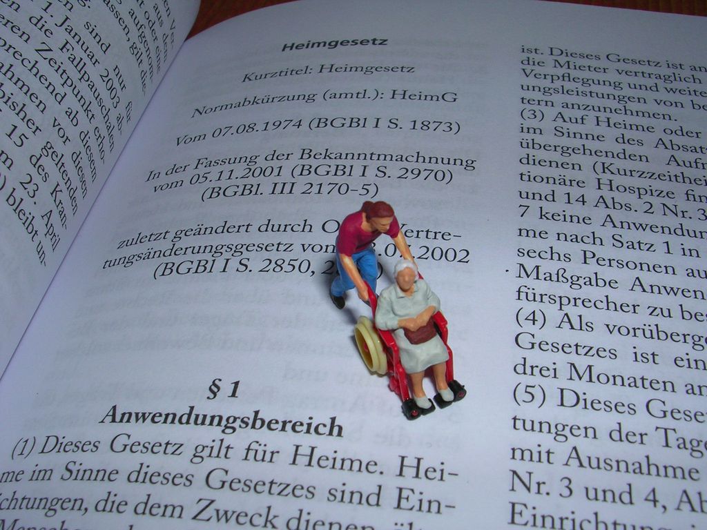 Gesetze plus Pflegefigur von Herr Ullrich.JPG