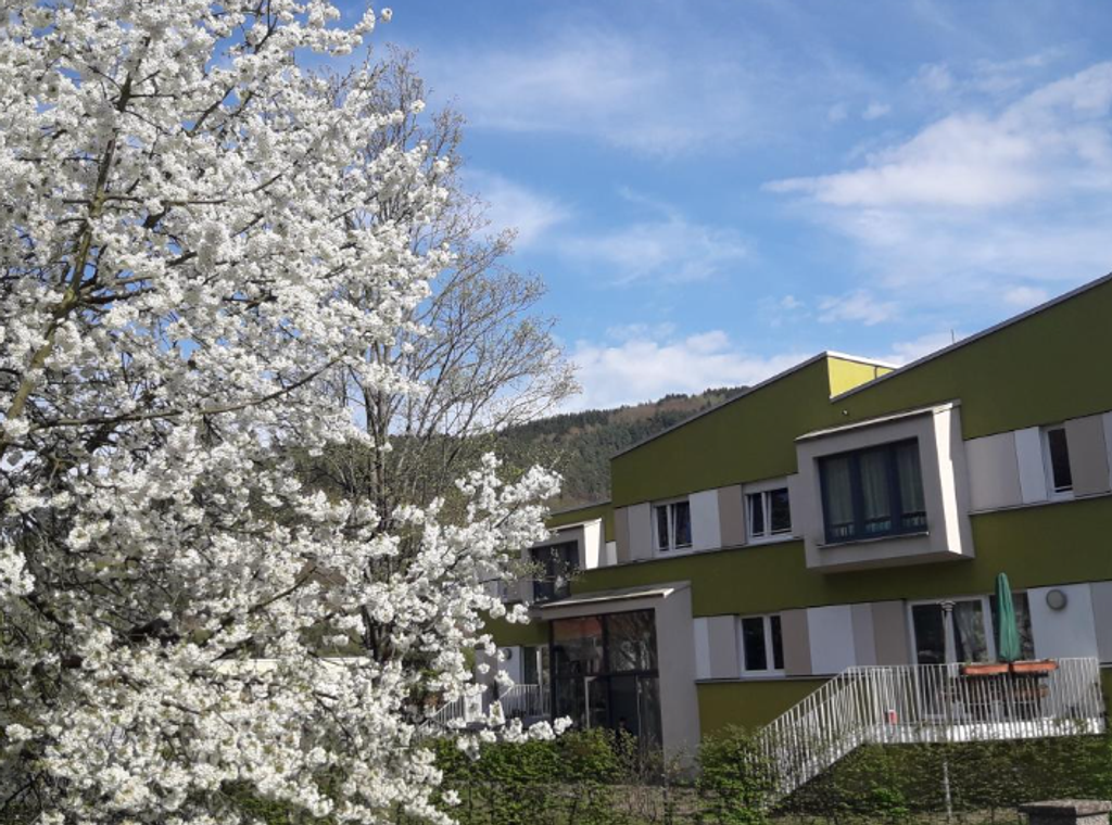 Stationäre Gruppen Eberbach