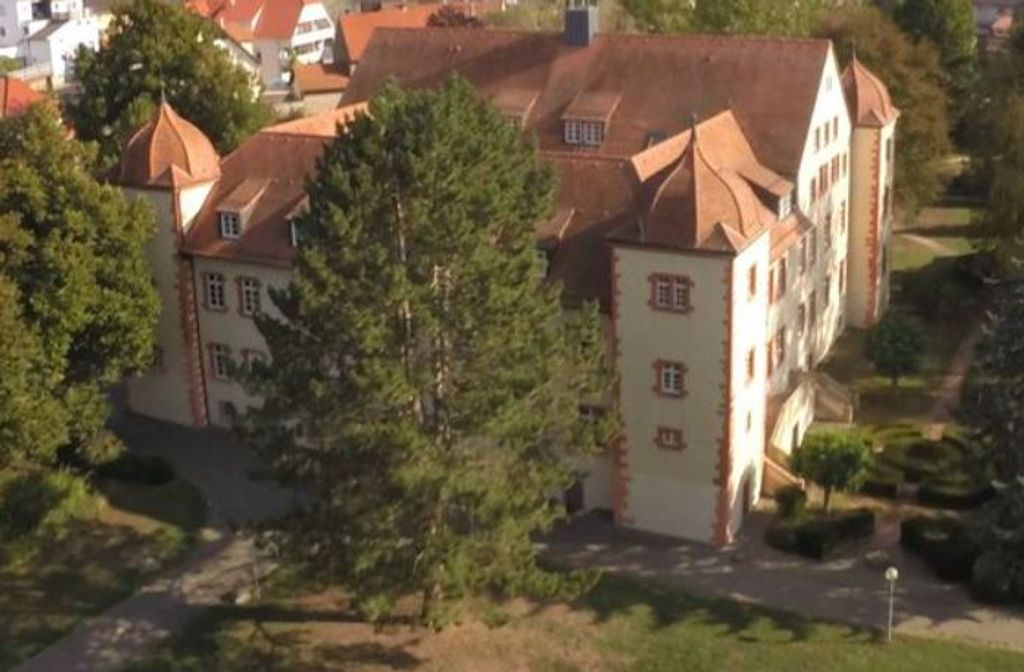 Schloss Flehingen.jpg